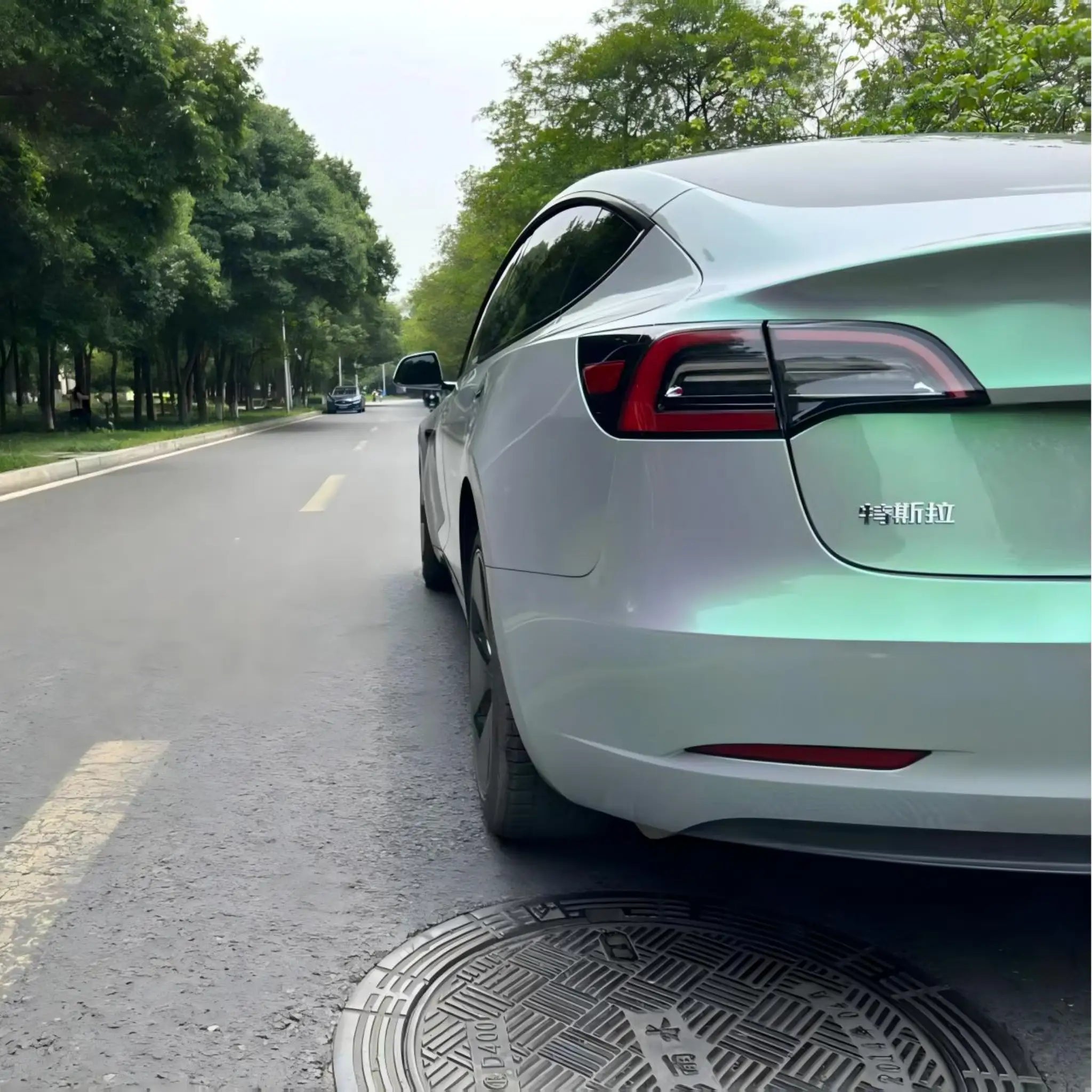 Detail view of Phantom Moss film on Tesla Model 3 rear-left panel - Kaleido