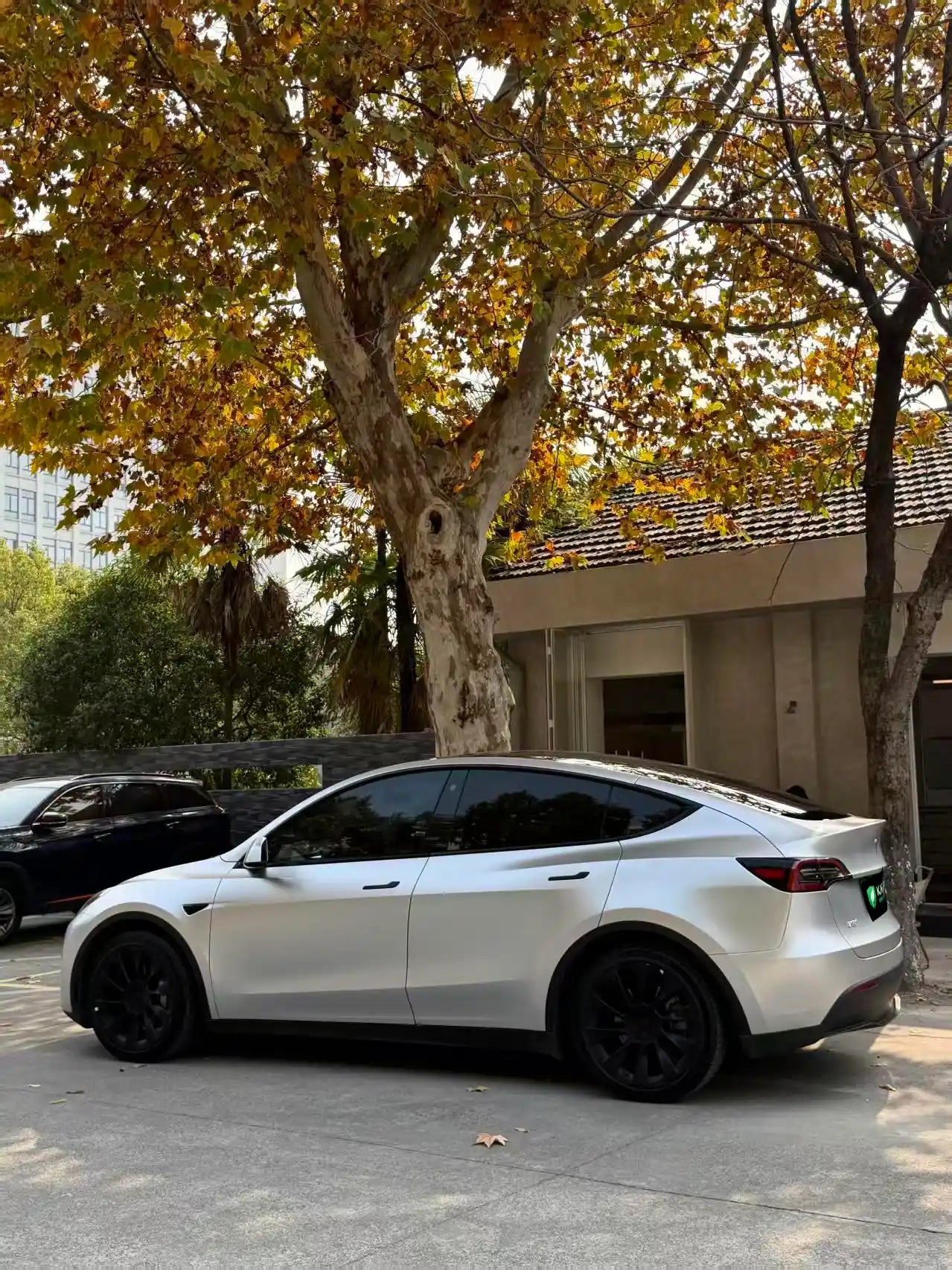 Close-up shot along the left side of a Tesla Model Y with Satin Chrome Alexander Silver film - Kaleido