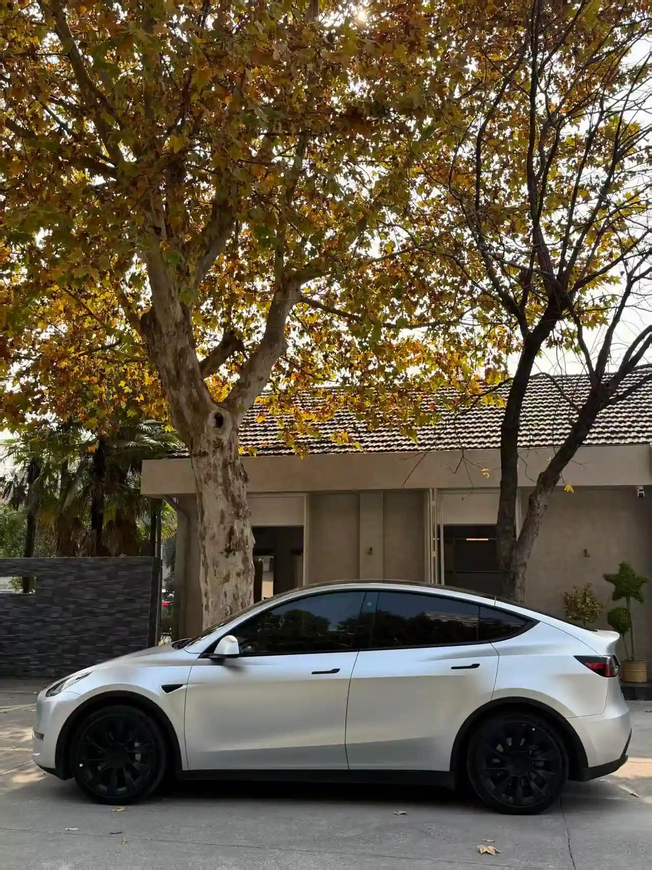 Panoramic left side view of a Satin Chrome Alexander Silver wrapped Tesla Model Y - showing full length - Kaleido